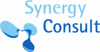 Synergy Consult